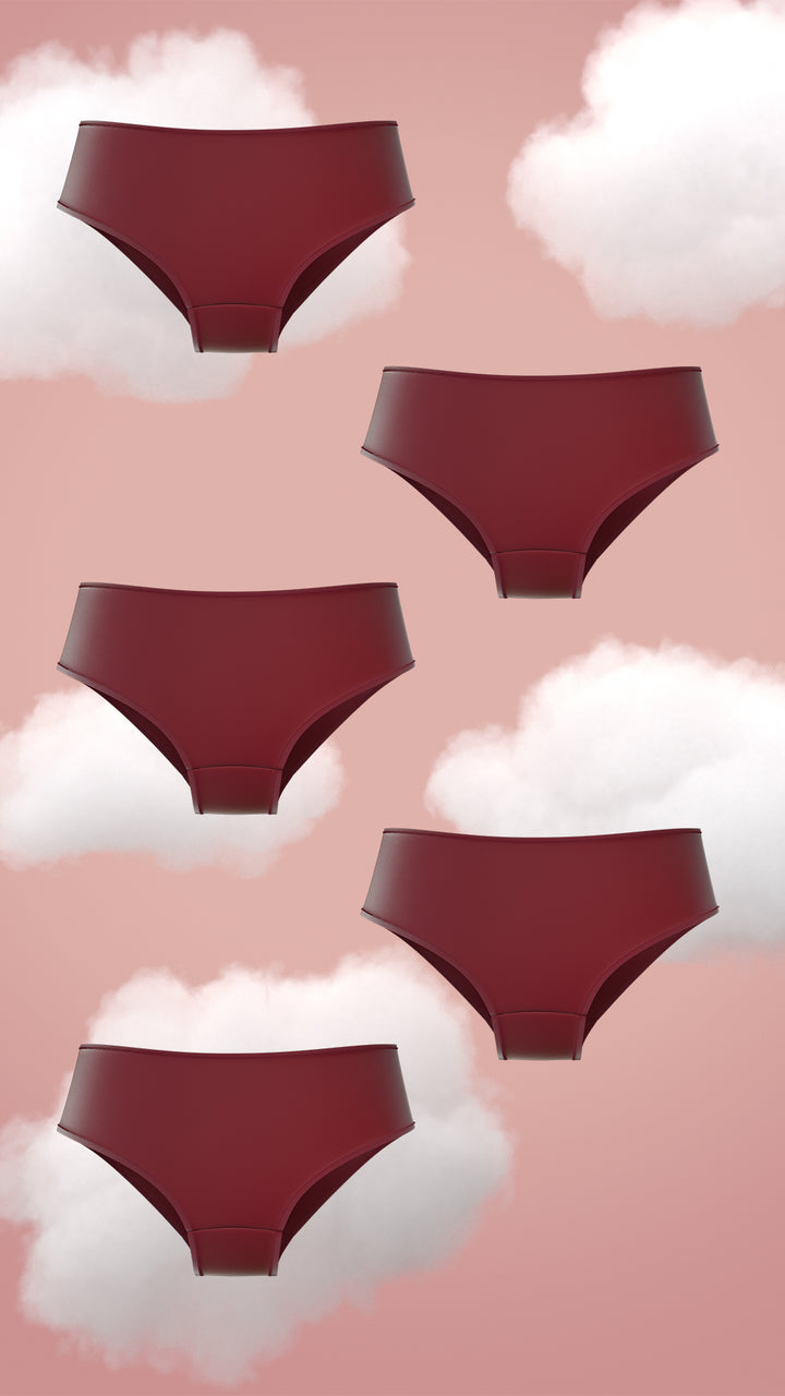 Set of 5 Brief - Soothing Ruby Supima Modal Nessies